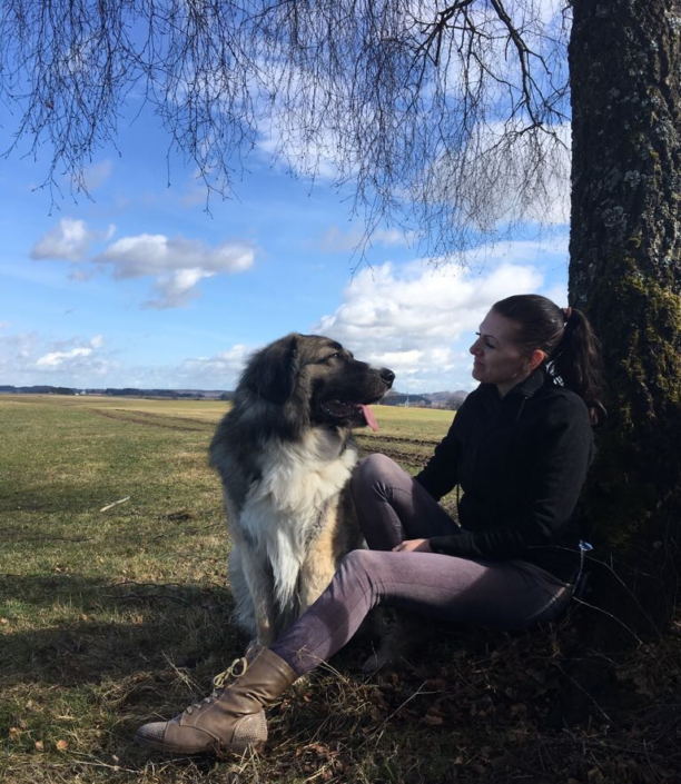 zorro-dogsavior-ev-tierhilfe-griechenland-artgerechte-hundeerziehung