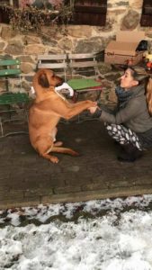Zorro Dogsavior E. V. - Tierhilfe für den Norden Griechenlands - Schicksale - Griechenland - Xara - Hand in Hand - Hilfe vor Ort