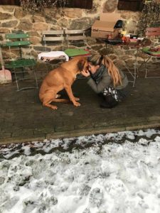 Zorro Dogsavior E. V. - Tierhilfe für den Norden Griechenlands - Schicksale - Griechenland - Xara - Hand in Hand - Hilfe vor Ort