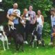 zorro dogsavior ev tierhilfe griechenland eis essen2
