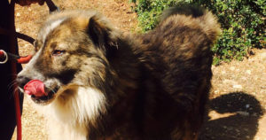 Beitragsbild1