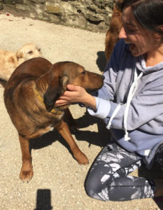 Nino_mit_Marina_Zorro_Dogsavior_Griechenland_30