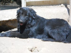 17968532 1511434492200010 2139097232 o