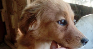 littleBeautyBeitragsbild3