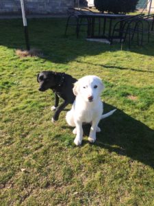 Daria und Sandy2