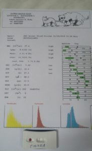 Nicks bloodtest