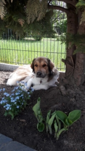 PHOTO 2018 05 27 14 58 16