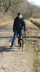 zorro dogsavior ev tierhilfe griechenland gluecksgeschichten nala 1
