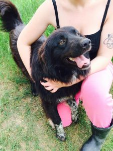 Bruno Zorro Dogsavior 02