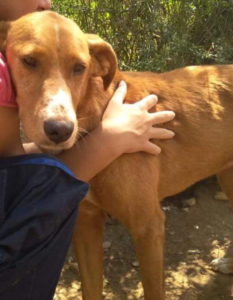 Kassiani  Zorro Dogsavior