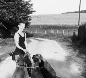 zorro dogsavior ev tierhilfe griechenland corinna 2 zorro