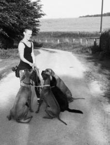 zorro dogsavior ev tierhilfe griechenland corinna zorro