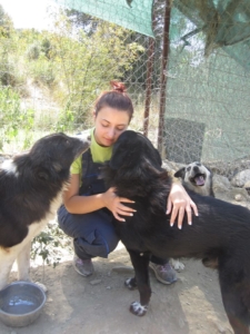 BlackjackZorro Dogsavior Sept1