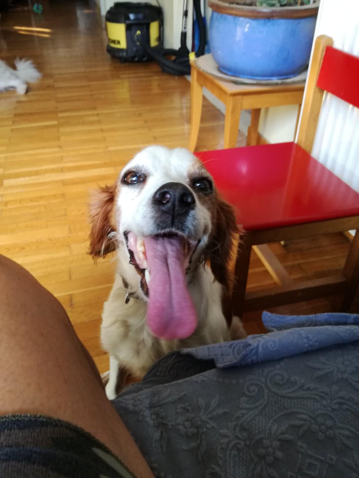 Nora2