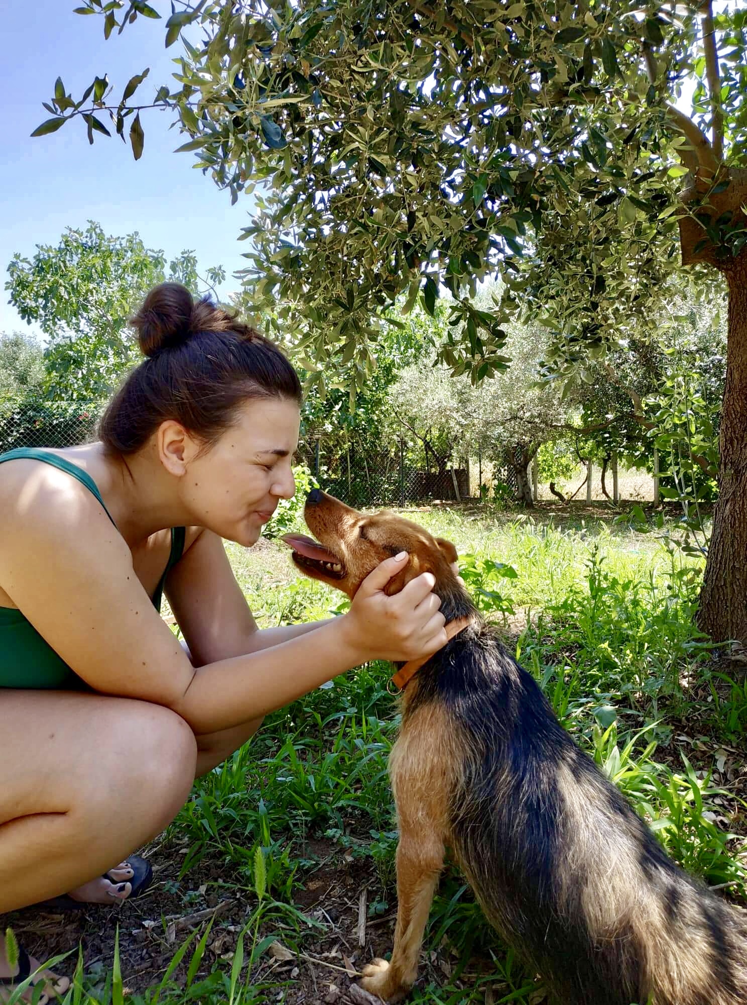 Rina greece adopt dog