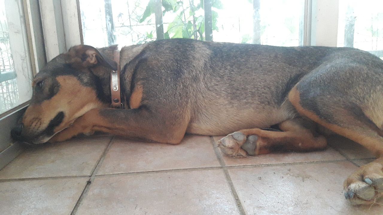 abby4