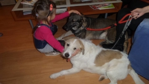 Giovanni Zorro Dogsavior Okt2
