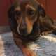 Hermine April19 3 e1557168557995