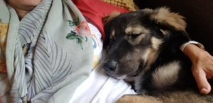 Thunderim happyend