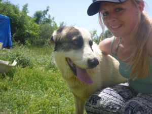 Rocky Zorro DogsaviorHp Dez195