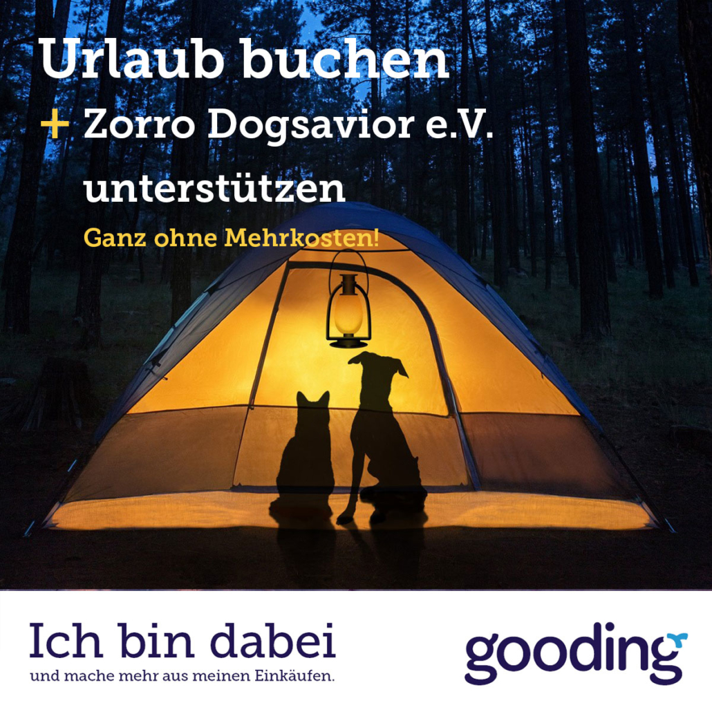 Tierschutz Urlaub buchen Zorro Dogsavior e.V. gross