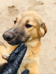 100DA9E1 DF2D 4012 9C37 8C6920278E99