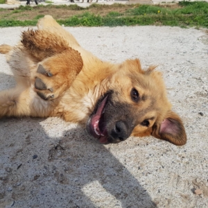 6F080CFD 7CE9 4C05 9565 AF212ED3F105