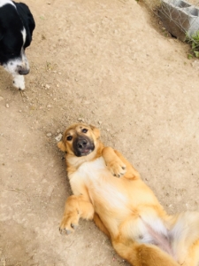 A39604E3 468A 49C5 ADC2 50D0E52CDC57