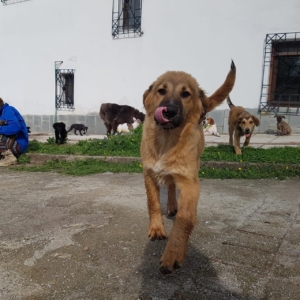 A959F950 A185 40E2 B025 73981FB6C8C9