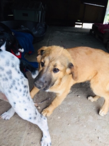 B728B96C AA40 4DDC 9624 D4CD09F523BA