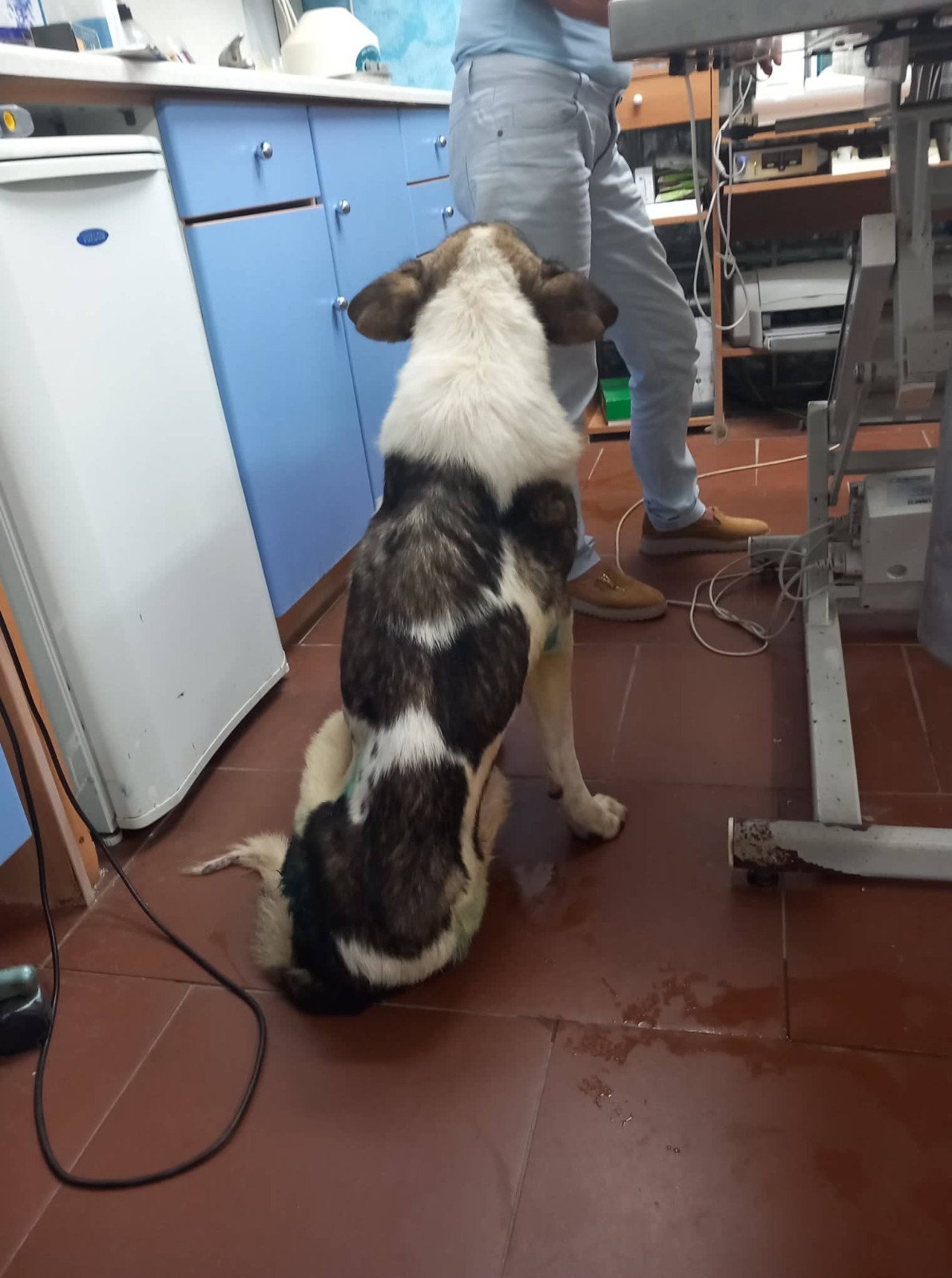 Atlas beim Arzt