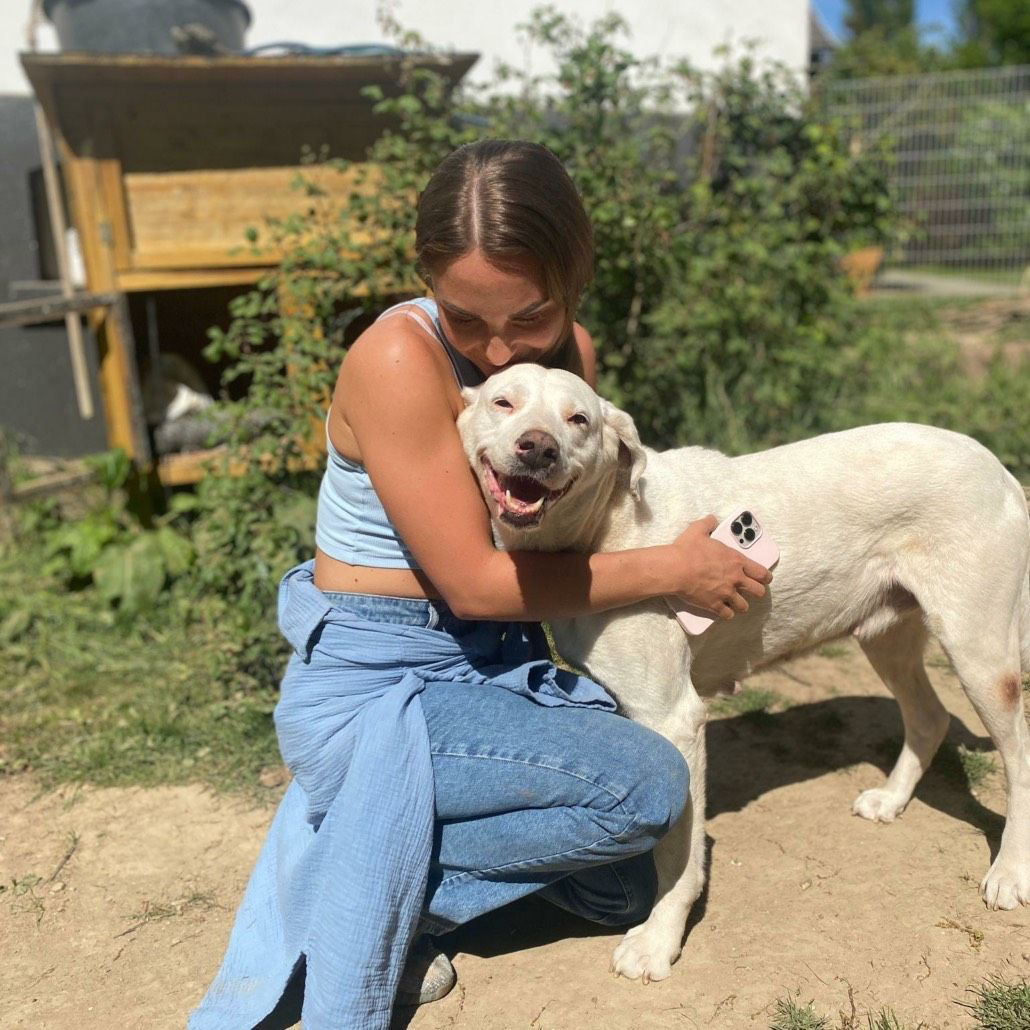 Hund mit Frau
