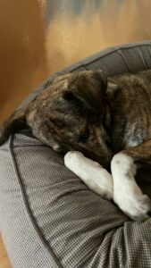 Salma im neuen Zuhause
