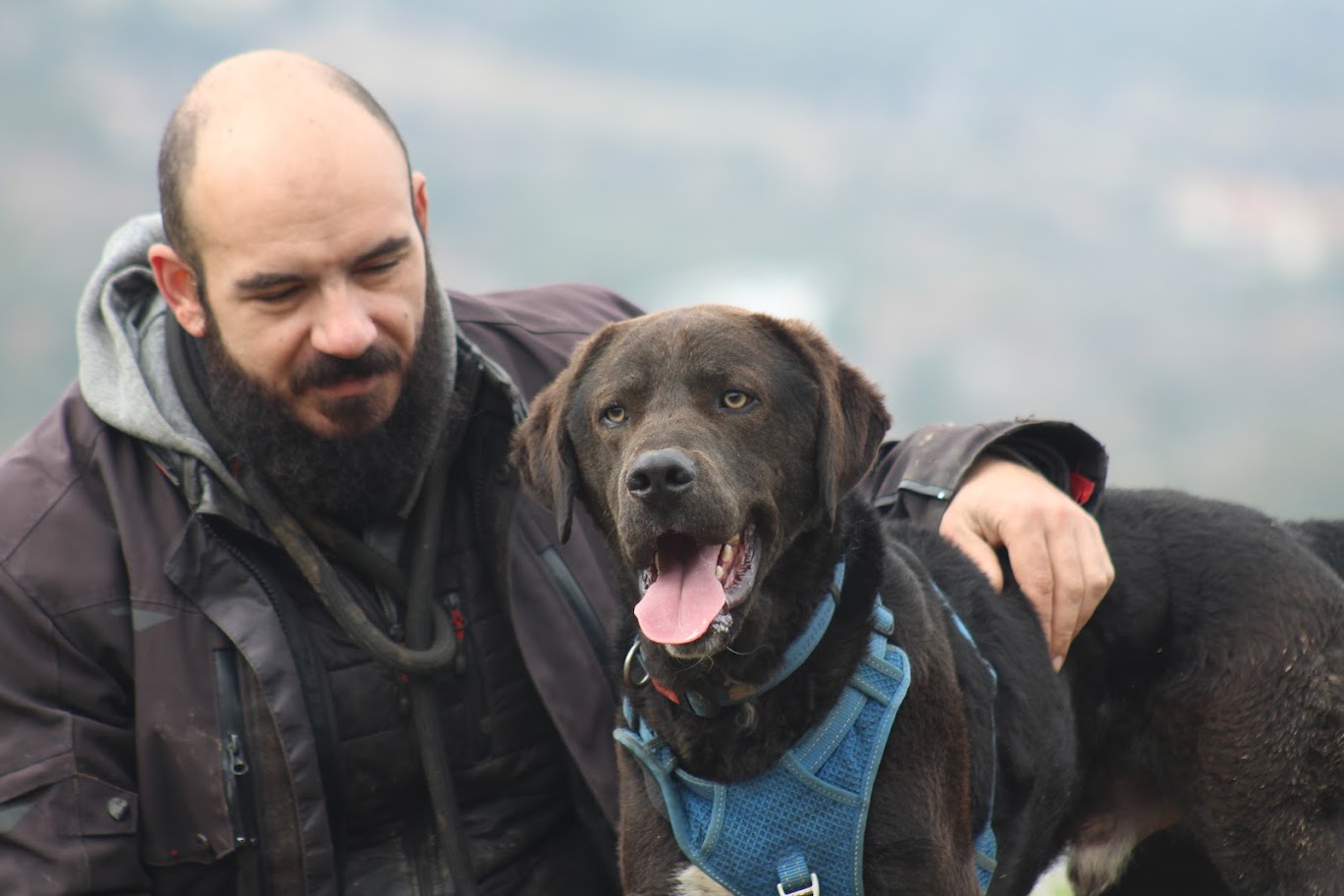 Lambo Zorro Dogsavior Mär25 3