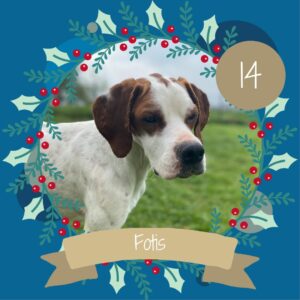 14 Fotis