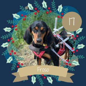 17 Froso