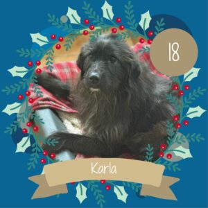 18 Karla