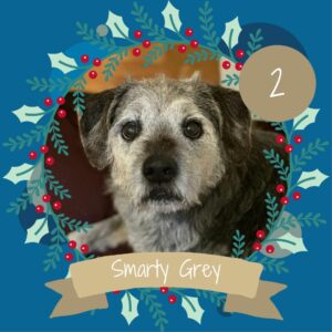 2 Smarty Grey