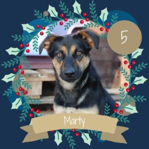 5 Marty