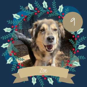 9 Zoe