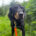 Johnnie Zorro Dogsavior Jun25 Beitragsbild