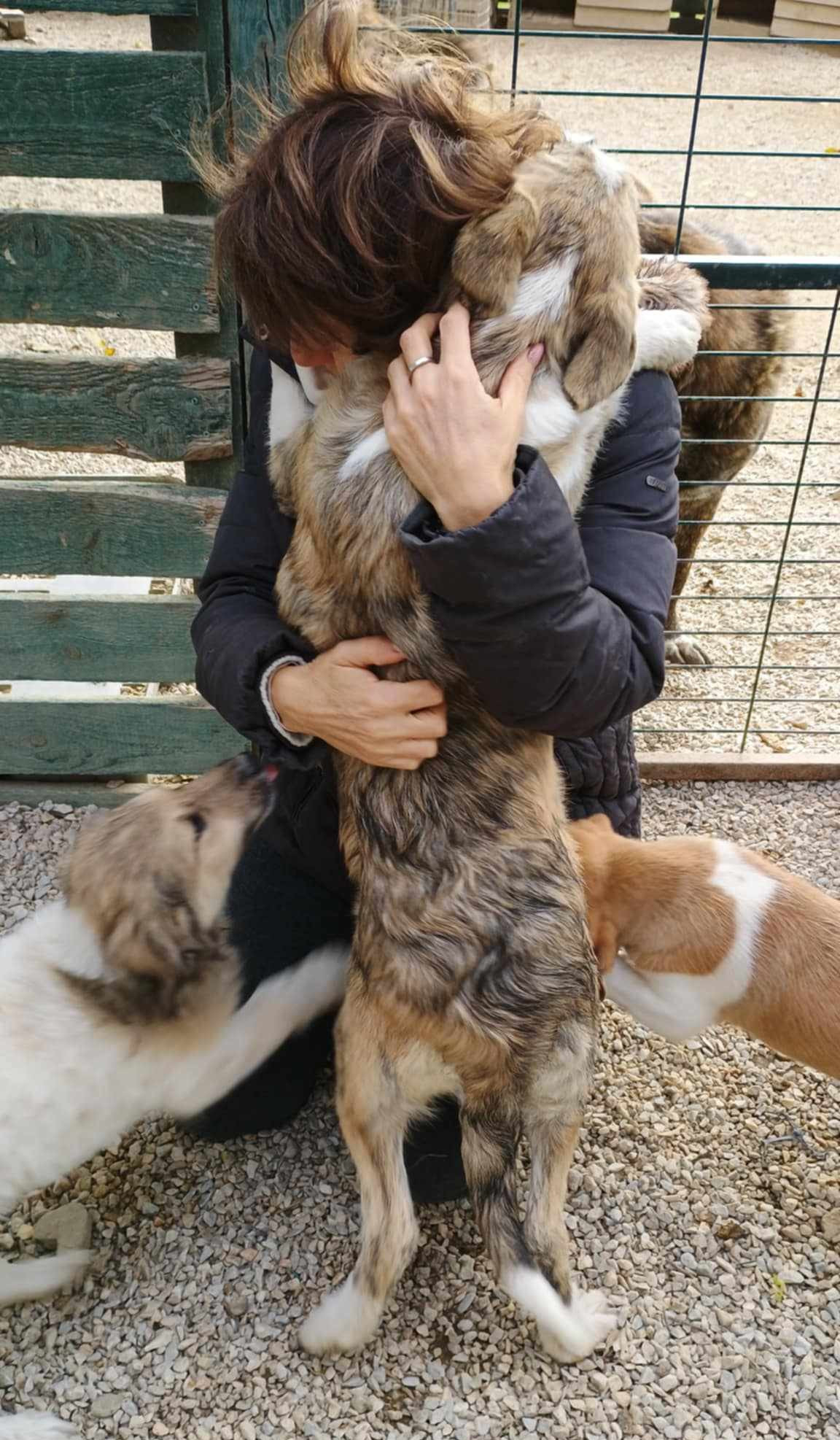 Meli Zorro Dogsavior Dez24 3