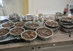 Fütterung bei Zorro Dogsavior