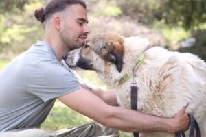 Jemile Zorro Dogsavior Mai25 1