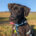 Blacky Zorro Dogsavior Mai25 Beitragsbild