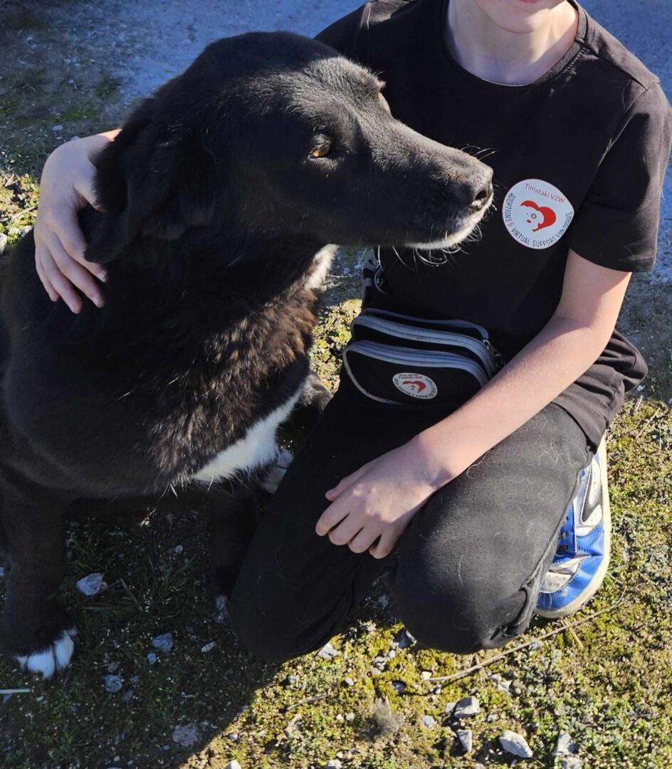 Joker Zorro Dogsavior Mai25 2