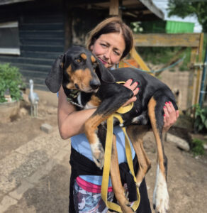 Frau hält großen Hund auf einem Bauernhof mit gelber Leine.