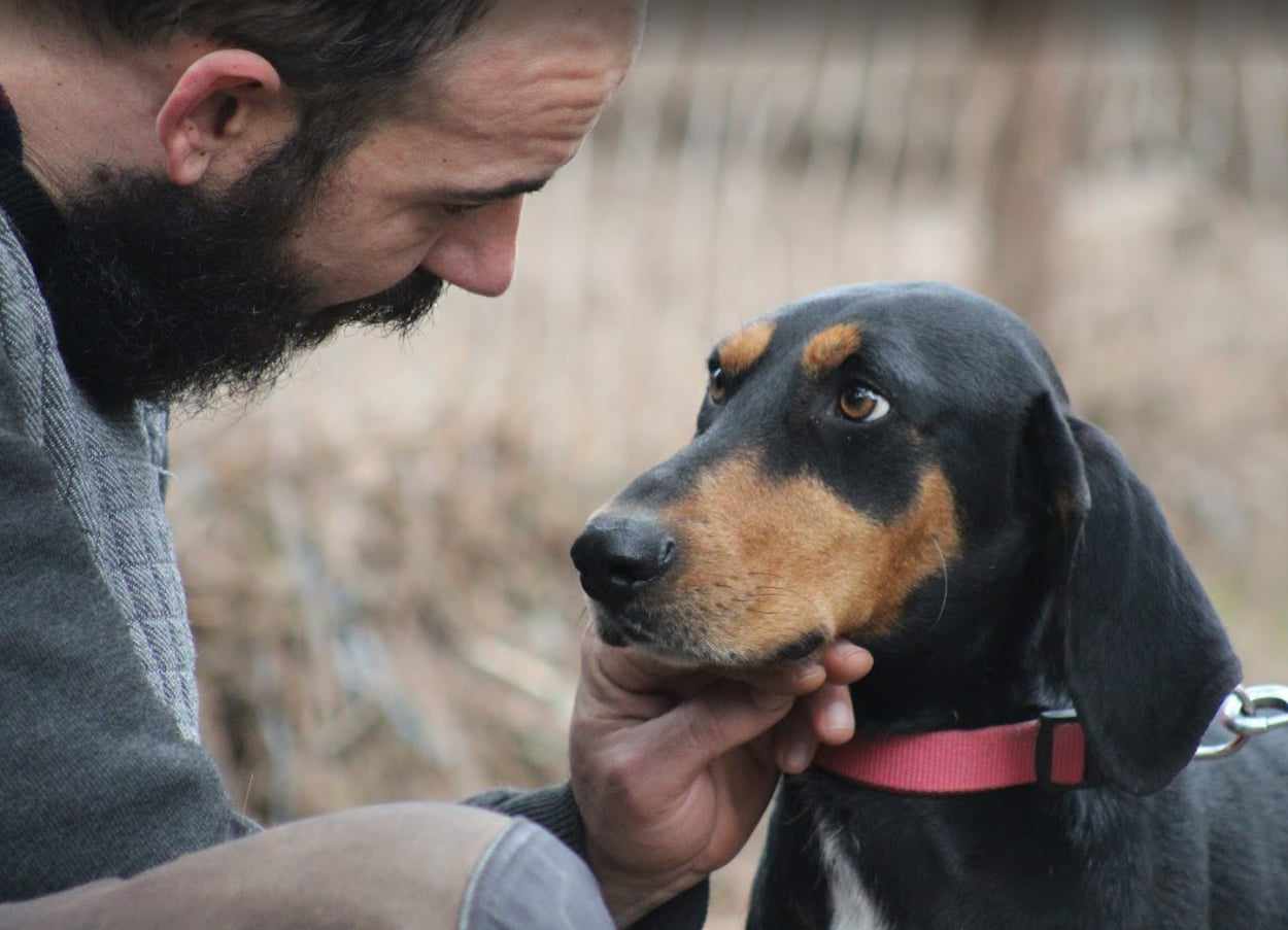 Thanoulis Zorro Dogsavior Mai25 3