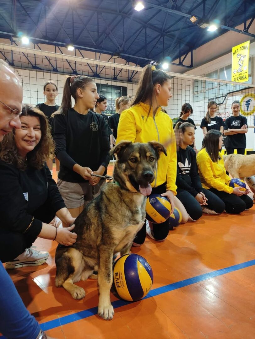 Kostakis Zorro Dogsavior Mai25 5