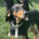Thanoulis Zorro Dogsavior Jun25 Beitragsbild